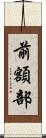 前額部 Scroll