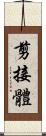 剪接體 Scroll