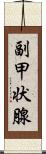 副甲状腺 Scroll