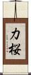 力桜 Scroll