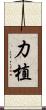 力植 Scroll