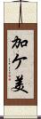 加ケ美 Scroll