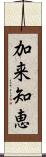 加来知恵 Scroll