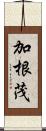 加根茂 Scroll