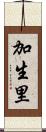加生里 Scroll