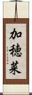 加穂菜 Scroll