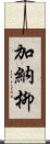 加納柳 Scroll