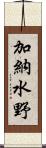 加納水野 Scroll