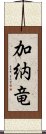 加納竜 Scroll