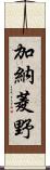 加納菱野 Scroll