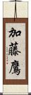 加藤鷹 Scroll