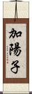 加陽子 Scroll