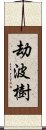 劫波樹 Scroll