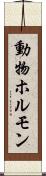 動物ホルモン Scroll