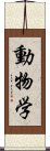 動物学 Scroll