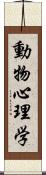 動物心理学 Scroll