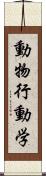 動物行動学 Scroll