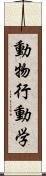 動物行動学 Scroll