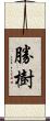 勝樹 Scroll