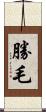勝毛 Scroll
