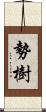 勢樹 Scroll