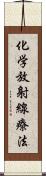 化学放射線療法 Scroll