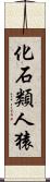 化石類人猿 Scroll