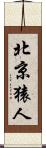 北京猿人 Scroll