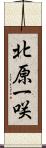 北原一咲 Scroll
