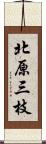 北原三枝 Scroll