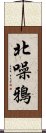 北噪鴉 Scroll