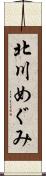 北川めぐみ Scroll