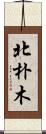 北朴木 Scroll