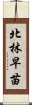 北林早苗 Scroll