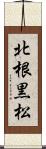 北根黒松 Scroll
