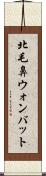 北毛鼻ウォンバット Scroll