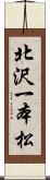 北沢一本松 Scroll