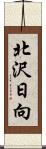 北沢日向 Scroll