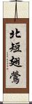 北短翅鶯 Scroll