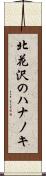 北花沢のハナノキ Scroll