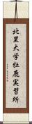 北里大学牡鹿実習所 Scroll