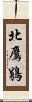 北鷹鵑 Scroll