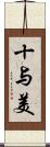 十与美 Scroll