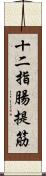 十二指腸提筋 Scroll