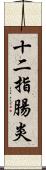 十二指腸炎 Scroll