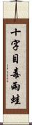 十字目毒雨蛙 Scroll