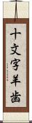 十文字羊歯 Scroll