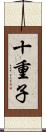 十重子 Scroll