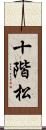 十階松 Scroll