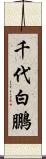 千代白鵬 Scroll